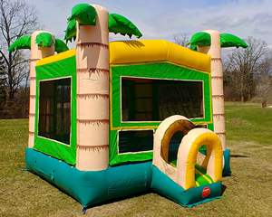 Castello Gonfiabile a Forma di Palma con la Migliore Qualità e Prezzo - Product Image 4