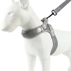 형광 통기성 조끼 스타일 애완 동물 하네스 및 가죽 끈 세트 다기능 애완 동물 가슴 및 등 액세서리 - Product Image 1