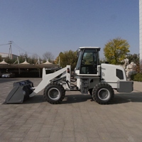 Mini chargeur frontal compact Chargeur frontal chinois 0,8 tonne 1 tonne 2 tonnes 1.5 tonnes mini chargeur sur pneus à vendre