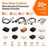 Connecteur de boîtier de broches personnalisé avec longs verrous et connecteur de broches gainé IDC 10 broches à double rangée et à angle de 90 degrés