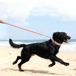 Nouvel ensemble collier <span class=keywords><strong>et</strong></span> laisse pour chien en sangle tissée personnalisée à rayures, réglable en plastique, durable pour la promenade - Product Image 5