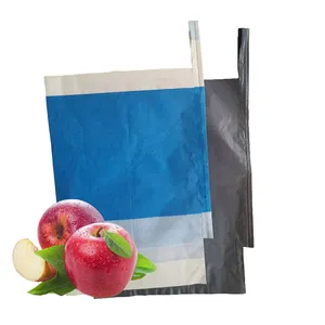 Wholesale fruit protection growing paper bag double layers cover waterproof bags for mango grape apple guava