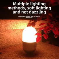 Nouveau Portable RGB Veilleuse Blanc LED Camping Lampe Type-C Rechargeable Caractéristique Creative Tumbler Atmosphère Lumière ROHS Certifié