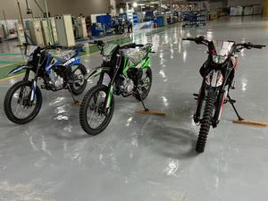 Motocicleta Todoterreno LD Ld300 de 300cc, Gasolina, para Adultos, <span class=keywords><strong>Enduro</strong></span>, Velocidad Máxima de 120 km/h, Directo de Fábrica - Product Image 5