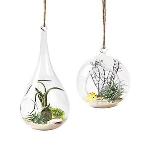 Terrarium suspendue en verre, goutte d'eau, plante à <span class=keywords><strong>air</strong></span>, terrarium - Product Image 1