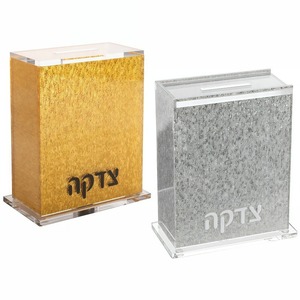 आधुनिक ल्यूसी जुडाका त्ज़ादा और चैरिटी दान बॉक्स एक्रिलिक कबूतर बैंक सोना/चांदी/स्पष्ट रंग पूर्व-असेंबल - Product Image 3