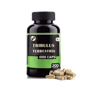 קוטב דבורי הבומבוס קוטב לחלץ טבליות תוספי אנרגיה מגבר כמוסות קוטב דבורי הבומבוס תמצית טבליות - Product Image 2