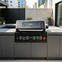Barbecue à gaz encastrable moderne, cuisine extérieure modulaire avec 5 brûleurs, brûleur infrarouge arrière et fenêtre de visualisation pour les fêtes barbecue