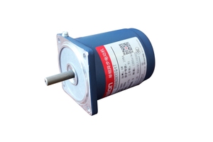 Moteur asynchrone triphasé Daiion 60 mm avec boîte de vitesses 50/60 Hz 110 V 220 V 380 V CA et bride - Product Image 5