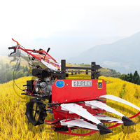 Rosemary Harvester Micro coupe fourragères largeur de coupe 800mm andaineur marche moissonneuse à vendre