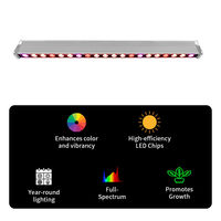 Module d'éclairage LED pour culture 250W, spectre complet rouge bleu 660nm pour serre, concombre, tomate, poivron, légumes-feuilles, ferme intérieure