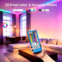 Bande lumineuse LED infrarouge RGBW à intensité variable avec Bluetooth, télécommande IR DC5V 1M pour la maison et la télévision