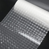 Film de laminage thermique souple OEM 25 microns en plastique transparent PET BOPP Photo 3D Lenticulaire pour ordinateur fourni