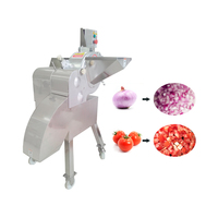 Automatische fruitblokjes-snijder voor appel, ananas en mango