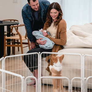 Большой портативный металлический складной манеж для кемпинга, в классическом стиле, для собак, питомника, питомника, защелкивающаяся кнопка для игры на открытом воздухе, Заборная щенок - Product Image 5