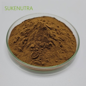 차가버섯 추출물 분말 다당류 30% 항산화 면역 및 소화 지원-초점 에너지 선명도 웰빙 - Product Image 4