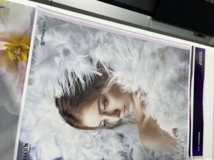 Tinta de Recarga de Pigmento para Papel de Arte de Alta Calidad, 100 ml, Compatible con Epson R330 R270 1390 T50 <span class=keywords><strong>T60</strong></span>, a Base de Agua - Product Image 6