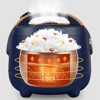 Mini cuiseur à riz électrique 1,0 L, bleu et jaune, motif visage mignon, cuve antiadhésive, cuiseur à riz intelligent pour la cuisson du riz, fonction maintien au chaud, OEM