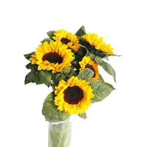 युन्नान आधार सीधे उच्च गुणवत्ता वाले ताजा कट फूल सूरजमुखी की बिक्री