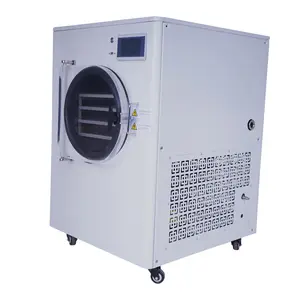 Multifunction Mini Freeze Dryer Lyophilizer Machine Small Food Processing Freeze Drying Equipment