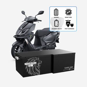 Batterie LiFePO4 72V 91.5Ah haute performance Shizun, modèle B, avec BMS intelligent, haute décharge, haute puissance 3000 - Product Image 1