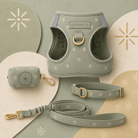 Ensemble de harnais pour chien imprimé sur mesure, collection Sage Green Star, harnais pour chien en néoprène avec collier, laisse, porte-sac à crottes, ensemble de promenade pour animaux de compagnie