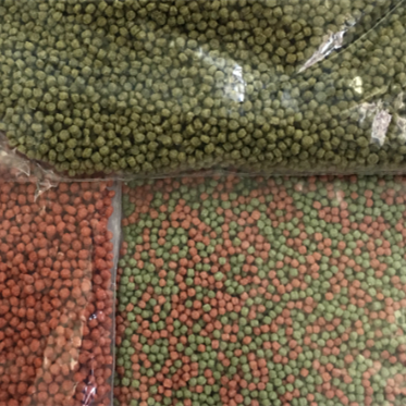 สีเขียว