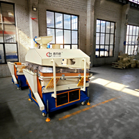 Machine de déstonage par gravité QSC-10, équipement de nettoyage des grains 10T/H pour blé, riz, maïs, certifiée CE, haute productivité, pureté de 98%
