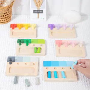 Hot Sale Montessori Color Cognition Game Baby Color Sorting Toys Wooden Color Matching Game