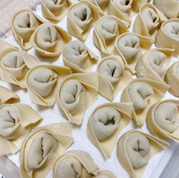 Ligne de production de feuilles de raviolis, machine commerciale pour la fabrication de peaux de wontons et de raviolis