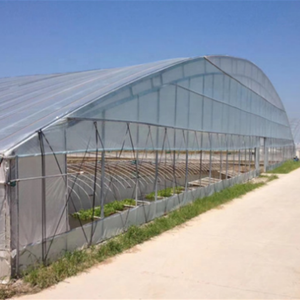 Lona de Plástico Resistente a los Rayos UV y a la Lluvia Ácida / Lonas Transparentes para Cubrir Huertos de Cerezos / Invernaderos - Product Image 3