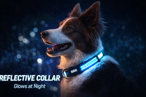 Premium Economic Reflective Dog <b>Collar</b> Adjustable Comfortable <b>Pet</b> <b>Collar</b> for Safety Visibility Daily Walking and Outdoor Use - Product Image 3