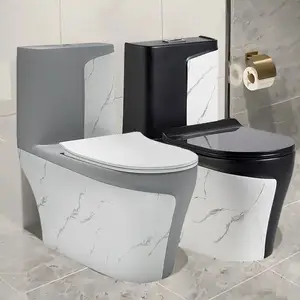 Sanitaire Siphonic Céramique Salle de bain Wc Water Closet One Piece Gris Noir Marbre Coloré Bidet Siège de Toilette