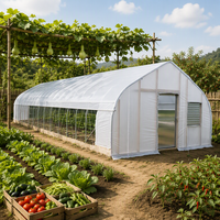 Serre tunnel à simple travée en acier galvanisé à chaud pour la culture de légumes, fournie directement par l'usine