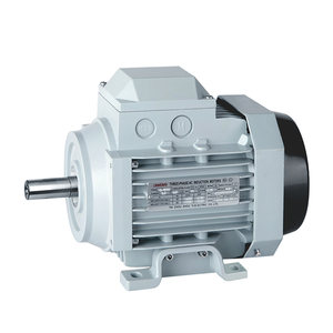 China Manufacturer YS-8024 High Efficiency Powerful 1hp 3 Phase <strong>Asynchronous</strong> <strong>Motor</strong> - Product Image 2