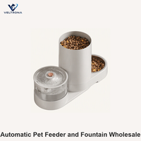 Distributeur automatique de nourriture et fontaine à eau pour animaux de compagnie, station d'alimentation pour chats et chiens à brancher avec un grand réservoir de nourriture, bol en acier