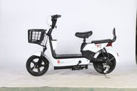 Fanlin Çok Satan G-E 48V 350W Fırçasız Motorlu Elektrikli Bisiklet Ön/Arka Süspansiyonlu LED Ekranlı Hafif Yetişkin Şehir Kullanımı