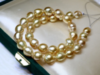 Collier Statement Lucy Jewelry en Perles Naturelles d'Eau de Mer Dorées des Mers du Sud, Plaqué Or 18K, Perles Jaunes Lâches de 10-12mm