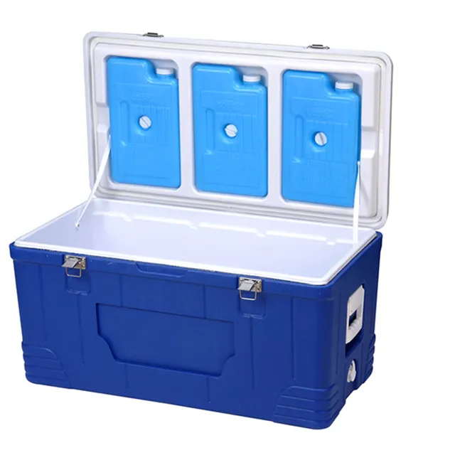 Özel tıbbi Organ taşıma taşınabilir soğutucu şarap bira strafor buz göğüs termal çanta gıda büyük soğutucu kutu