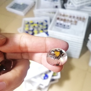 Espécimen de <span class=keywords><strong>insectos</strong></span> pequeños en resina, espécimen de <span class=keywords><strong>insectos</strong></span> real, colección biológica de pisapapeles transparente - Product Image 4