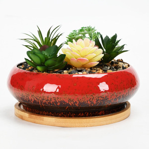 Pot succulent de jardinière de bol <span class=keywords><strong>bas</strong></span> en céramique blanche avec plateau en bambou Pot de <span class=keywords><strong>fleur</strong></span> demi-rond à fond peu profond - Product Image 6