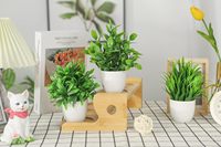 4 paquets de mini plantes artificielles en plastique d'herbe d'eucalyptus en pot pour la maison ou le bureau Fleurs décoratives