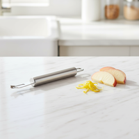 UJ-GP054 Éplucheur de citron classique en acier inoxydable, zéteuse à citron, outils de cuisine