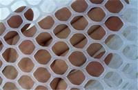 Clôture en treillis métallique tressé en plastique pour volailles, chiens, lapins, serpents - Barrière pour poulets avec service de découpe - Prix compétitif
