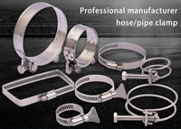 Collier de serrage américain en acier inoxydable de 1 pouce avec surface polie, mesure métrique, type Jubilee