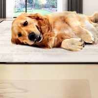 Cadre photo commémoratif pour animaux de compagnie avec construction en MDF, flacon en verre imprimé UV, souvenir de poils, design de bouteille avec empreinte de patte pour chiens et chats
