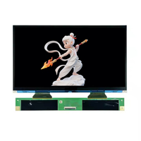 Modul LCD Monokrom MIPI IPS 14-inci 16K 15120x6230 untuk Printer 3D