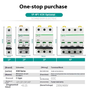 Cầu dao tự động mini Schneider Acti9 IC65N/<span class=keywords><strong>iC60N</strong></span> IC601P 50A 63A 80A Rcbo/rccb/rcbo/elcb - Product Image 2