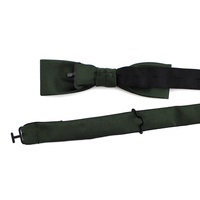 Cravate ajustable en microfibre de polyester pour homme, motif personnalisé, coupe slim, nœud papillon pré-noué vert, vente en gros