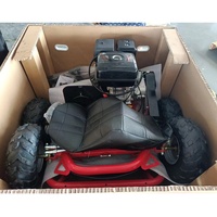 Mini Buggy Tout-Terrain 6,5 CV 196 CC pour Drifting sur Herbe et Cross-Country – Excitation Assurée dans le Monde du Sport Automobile